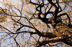 春ですよスナップ (3)