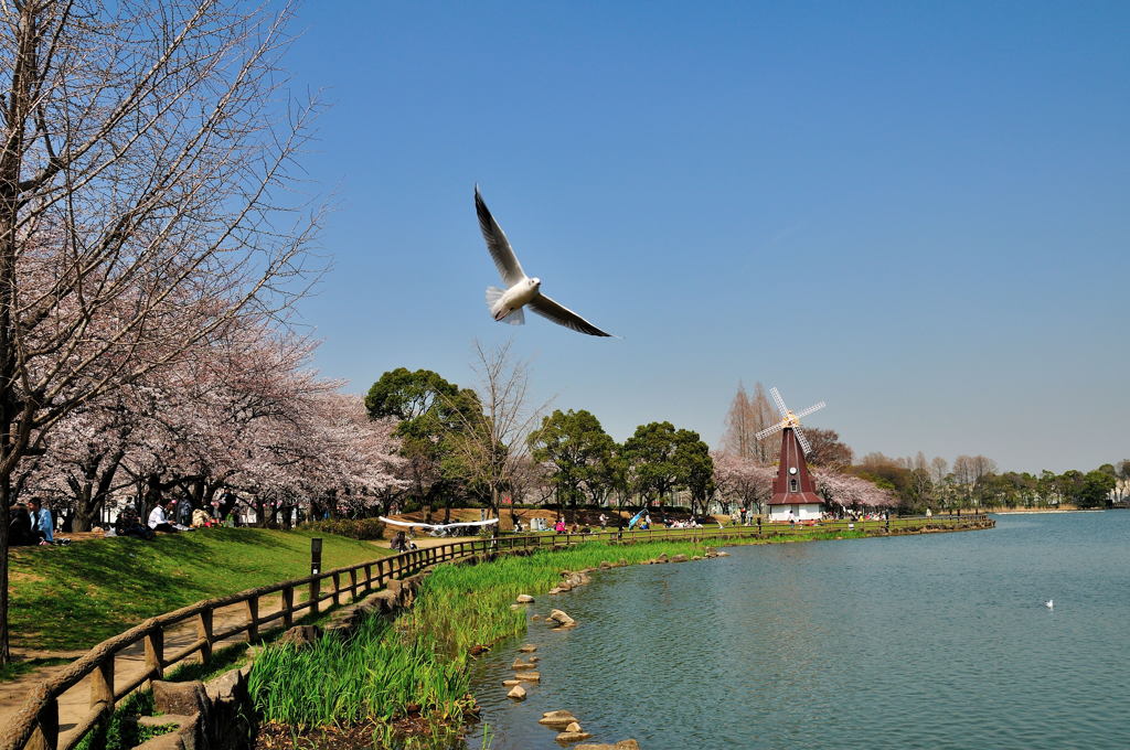 番外編：カメラ目線頂きました(^_^)/