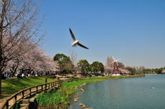 番外編：カメラ目線頂きました(^_^)/