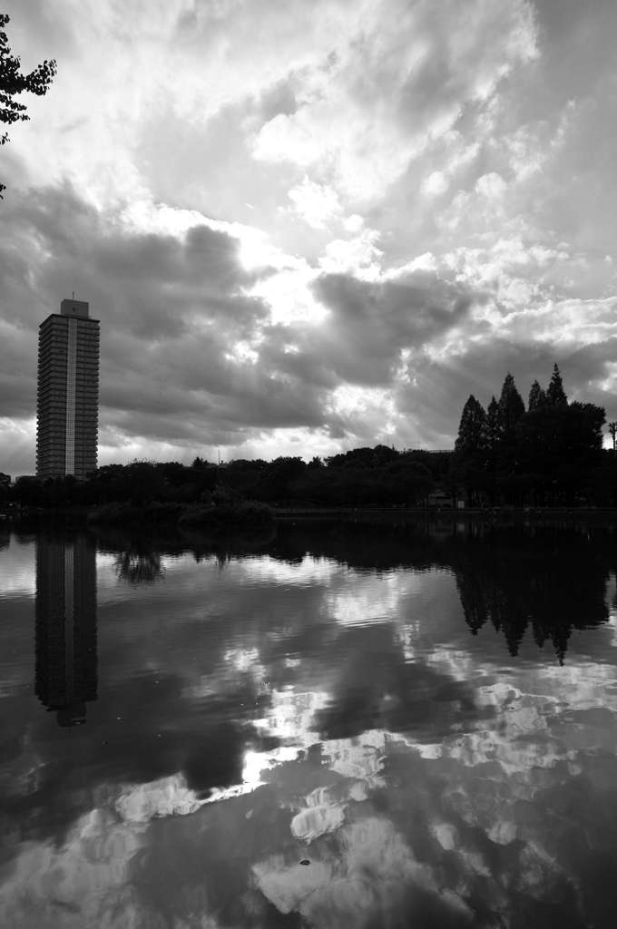 被写体としての高層マンション