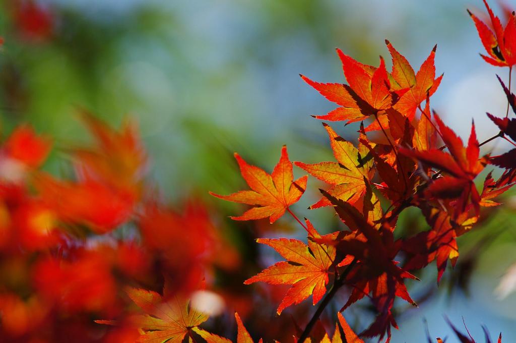 一歩手前。。。