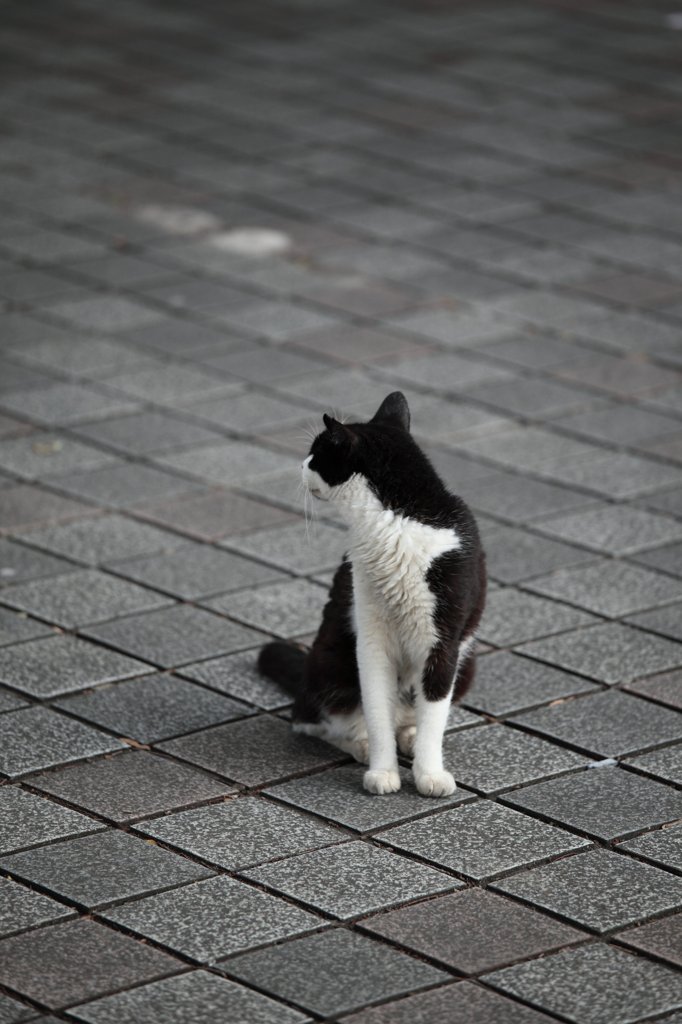 こっち向いてよぉ～