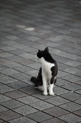 こっち向いてよぉ～