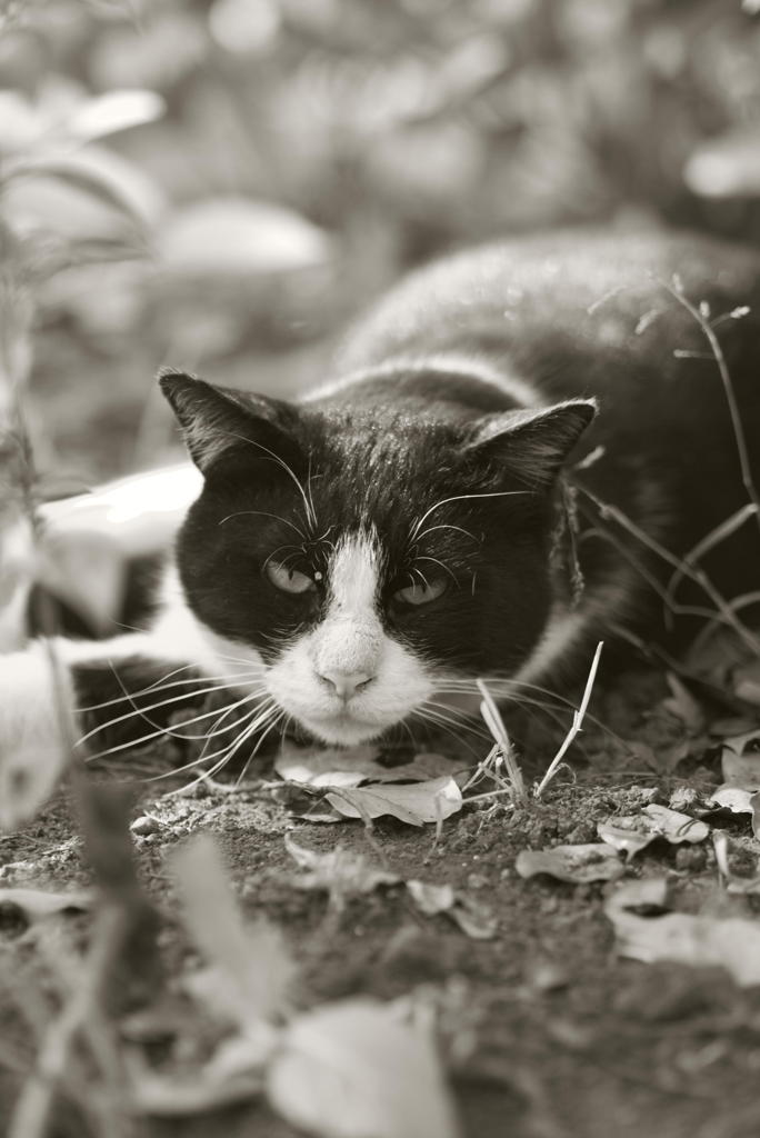 あんた、だれ？