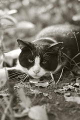 あんた、だれ？