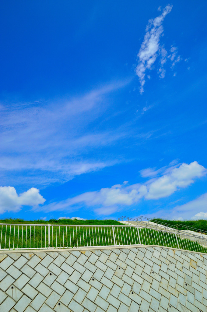 ご無沙汰スナップ