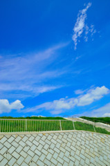 ご無沙汰スナップ