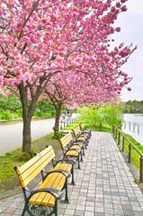 上野散歩（１）