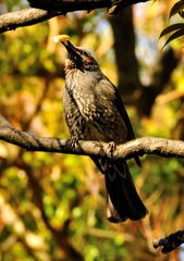 春ですよスナップ (2)