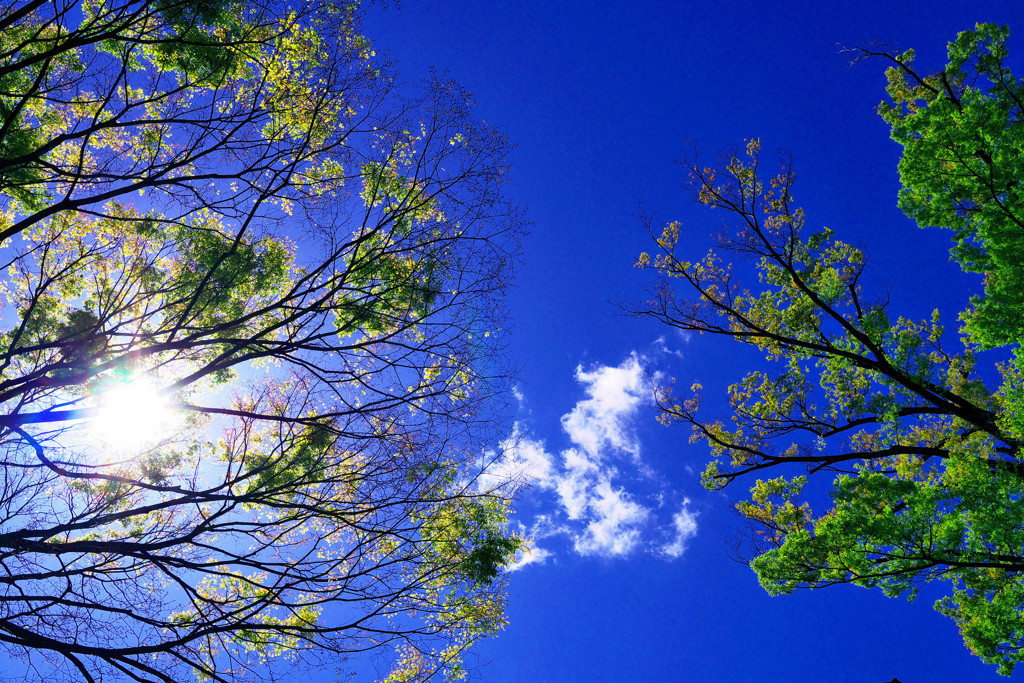 嵐の後の清々しさ