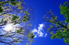 嵐の後の清々しさ