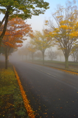 今朝の濃霧（３）