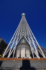 511m（定点観測）