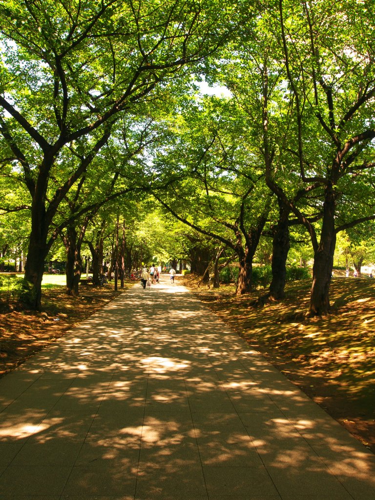 夏＠浮間公園（２）