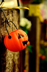 D2H復活スナップ (4)