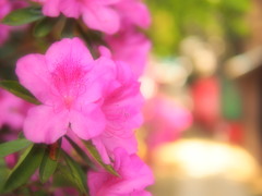 上野界隈をぶらり（2）