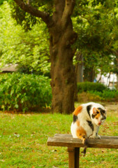 A77導入記念スナップ (9)