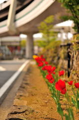 ちょっと寂しくスナップ