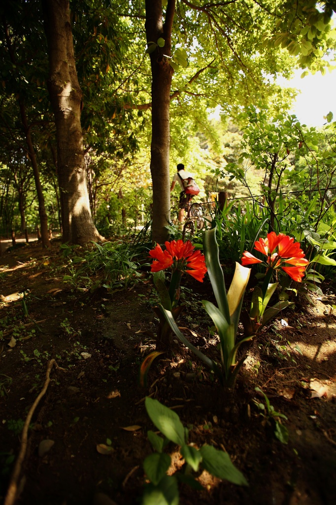 SNAP＠林試の森 (3)