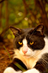 オトコにゃ～、イキザマってのがあるんだよ(=^・^=)