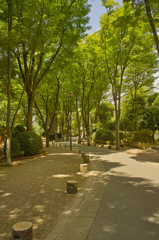 ネコなしスナップ（１）