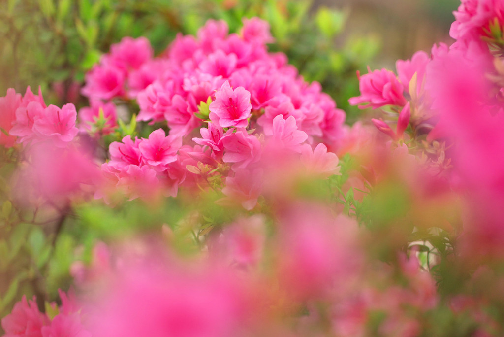 なんとなく。。。