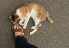 足フェチ(=^・^=)