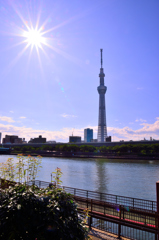 スカイツリーご無沙汰スナップ（２）