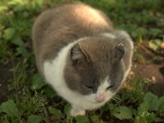 ま～るく、納まる。
