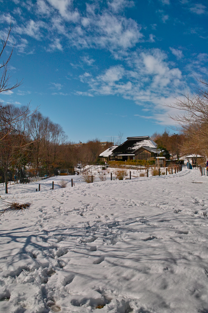 そこは雪国でした（１）