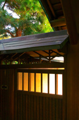 護国寺スナップ（２）