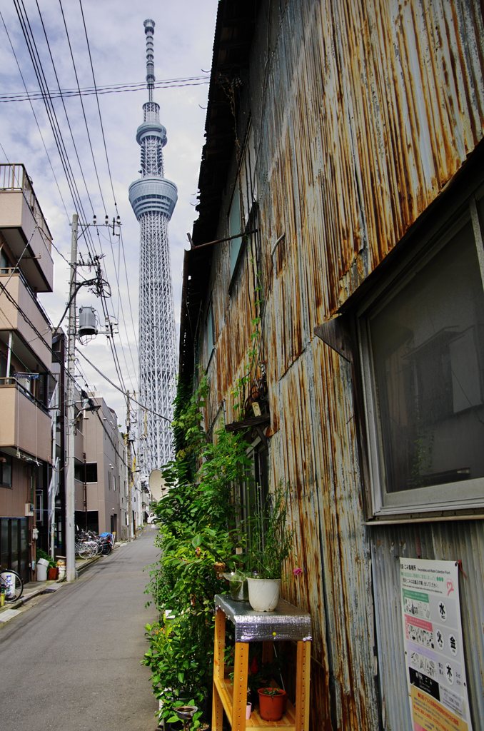 新しいモノ、そうでないモノ