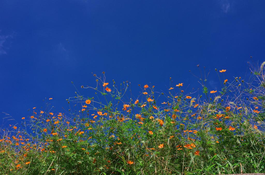 空が青かったから。。。