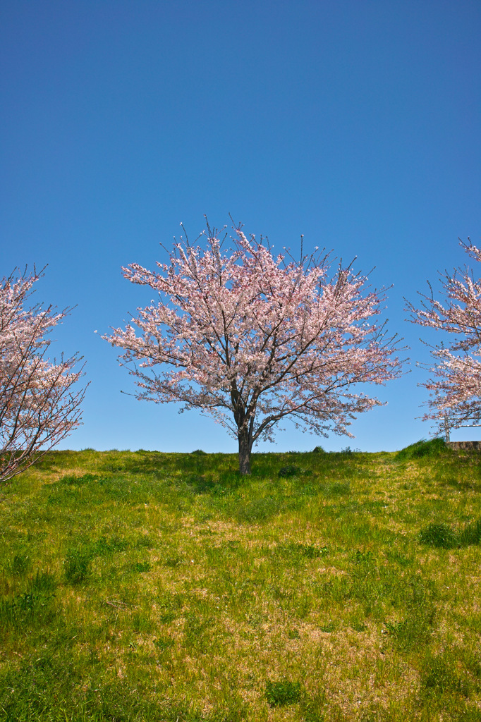 仕事中なのにスナップ（３）