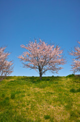 仕事中なのにスナップ（３）