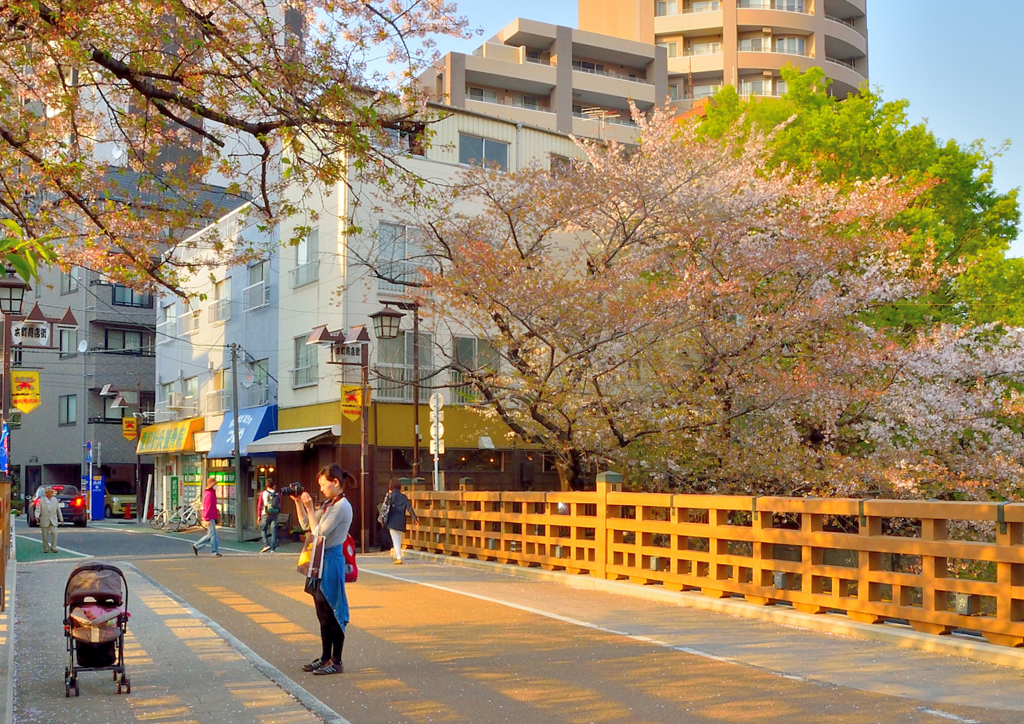 上手く撮れているかなぁ～