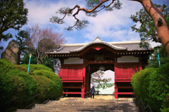 護国寺スナップ（１）