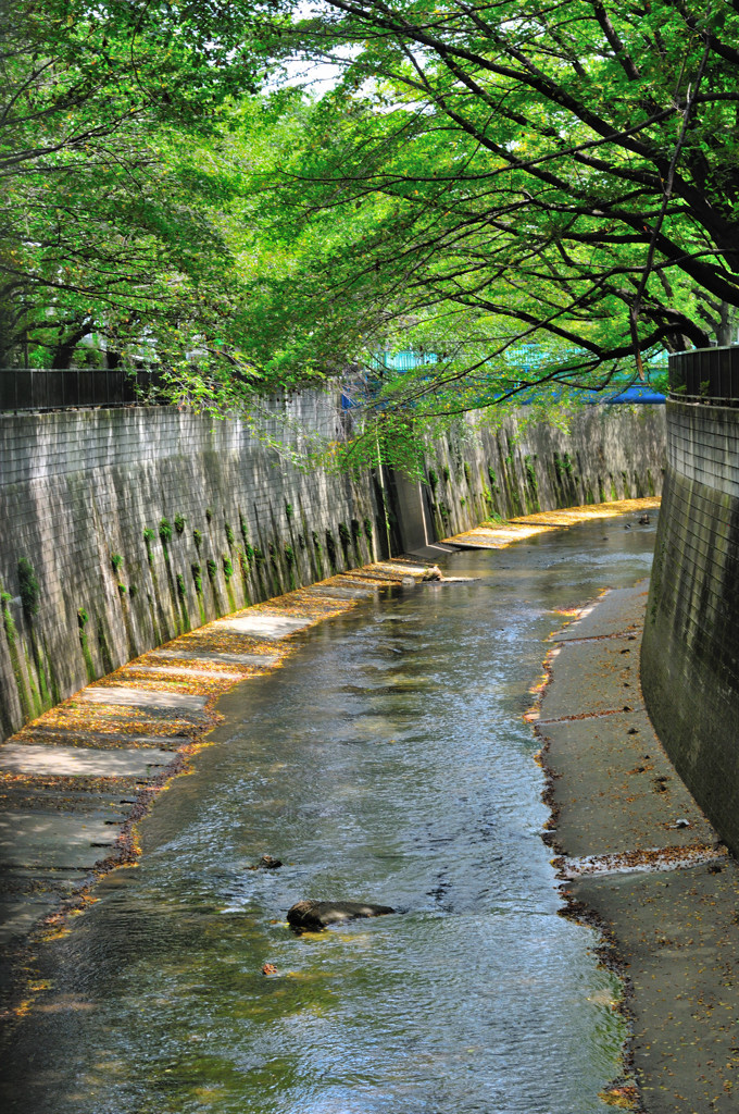 D300入院スナップ。。。