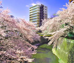春の思い出