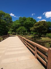 夏＠浮間公園（３）