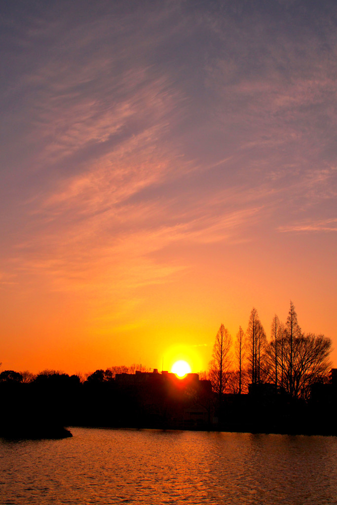 夕刻スナップ (1)