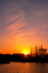 夕刻スナップ (1)