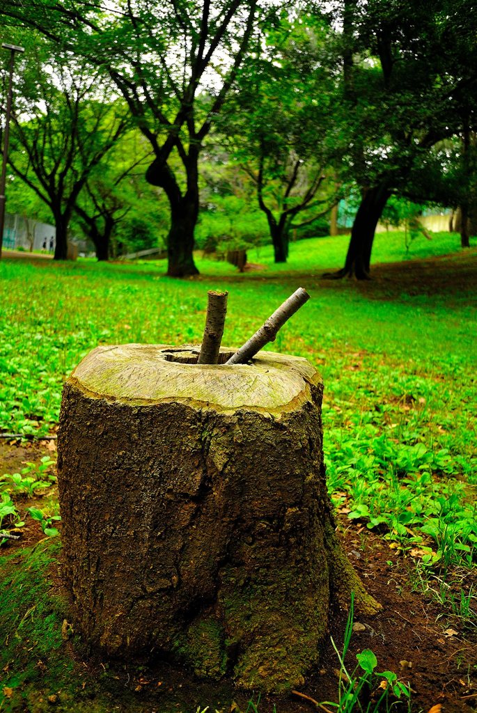 雨の日スナップ（５）