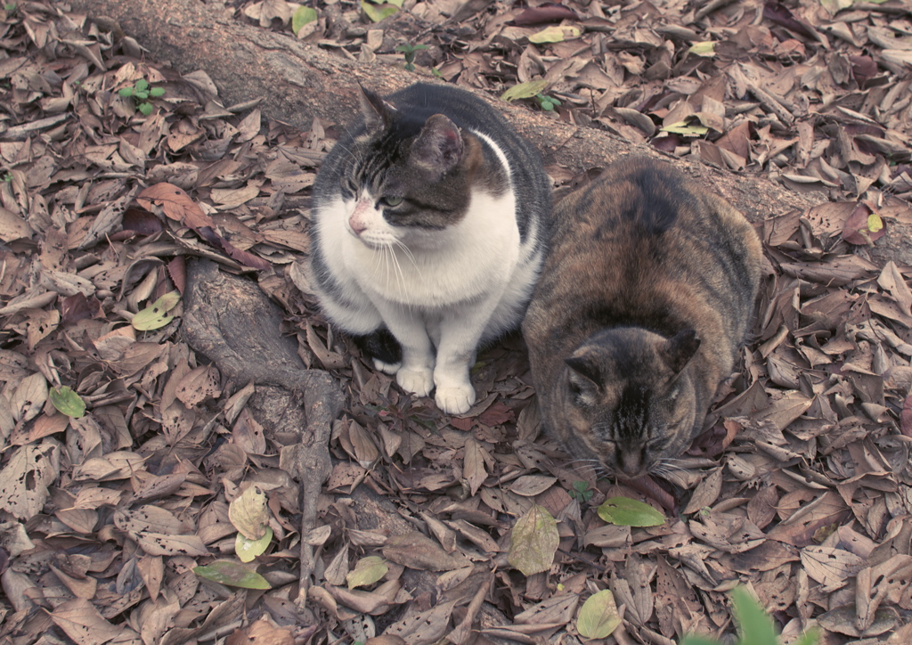 ビミョーな関係？