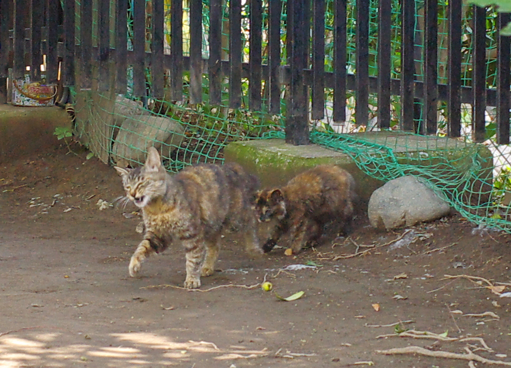 くすぐったいってばぁ～(^.^)