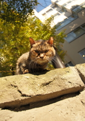 なに撮ってんねん(=^・^=)