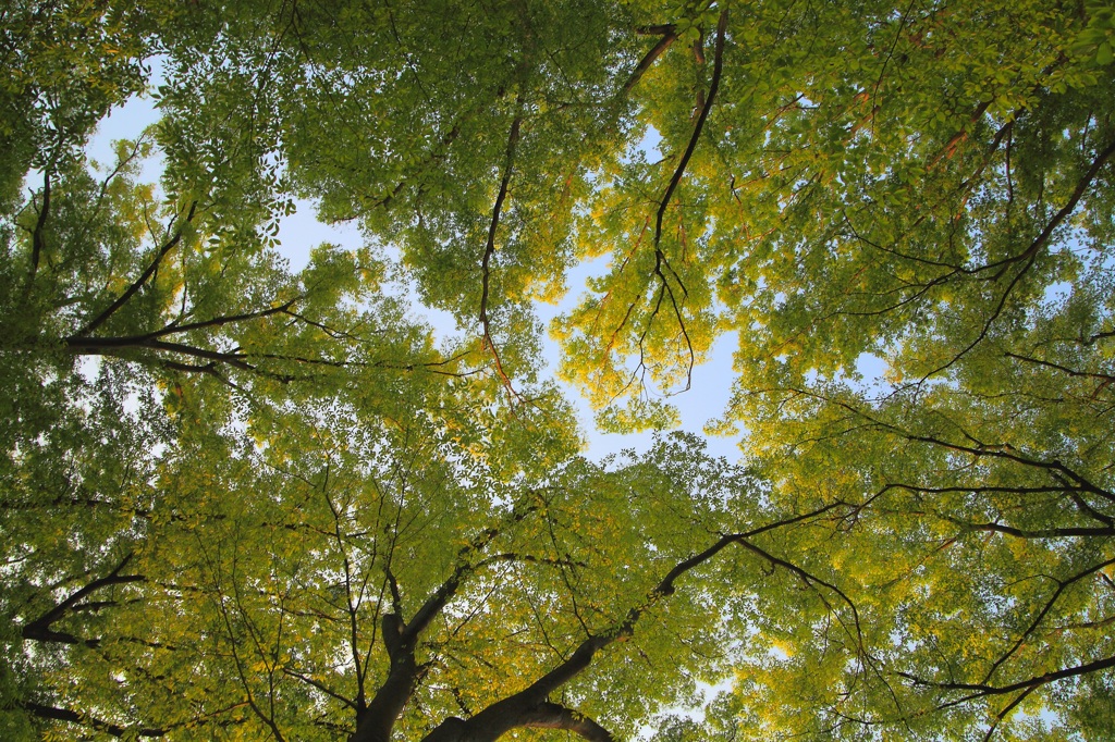 お気に入りの定番