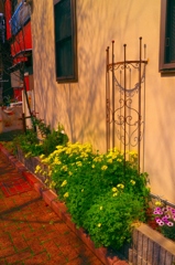 春散歩スナップ（１）