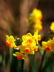 ご無沙汰スナップ (2)