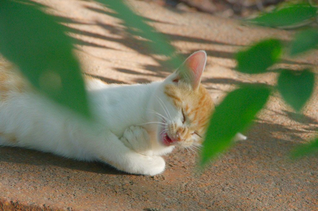 チョー、ウケるんですけど(^.^)